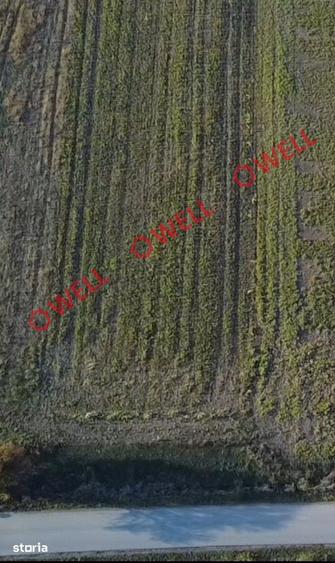 Teren de 824 mp, în Valea Crișului