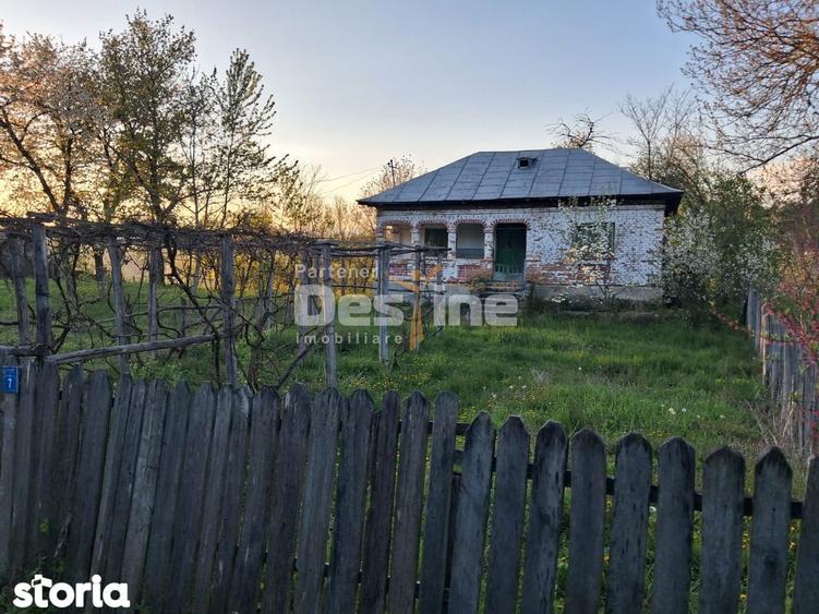 Casa batraneasca cu teren 1150 mp, vie si livada ?erbanesti, Paus - 1