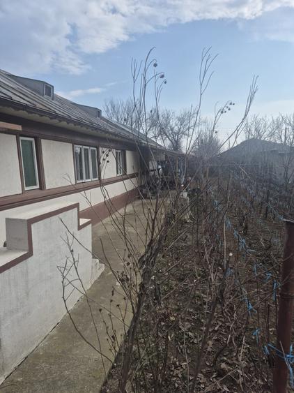 Oferta:Casa de vanzare - 4