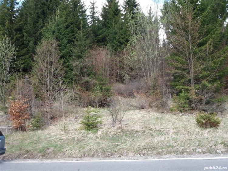 Teren intravilan - 8