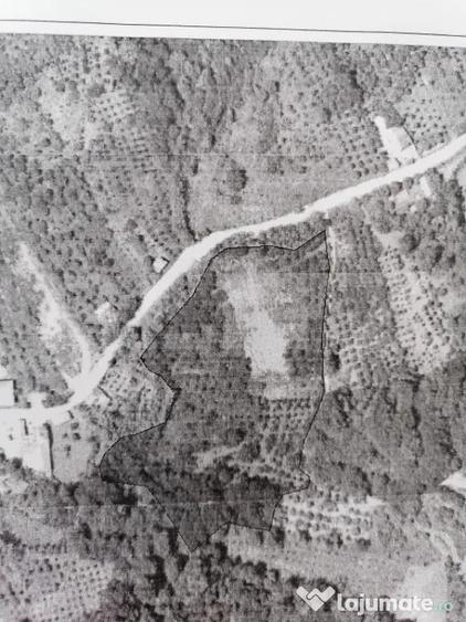 Teren de 14400 mp, în Gemenea-Brătulești
