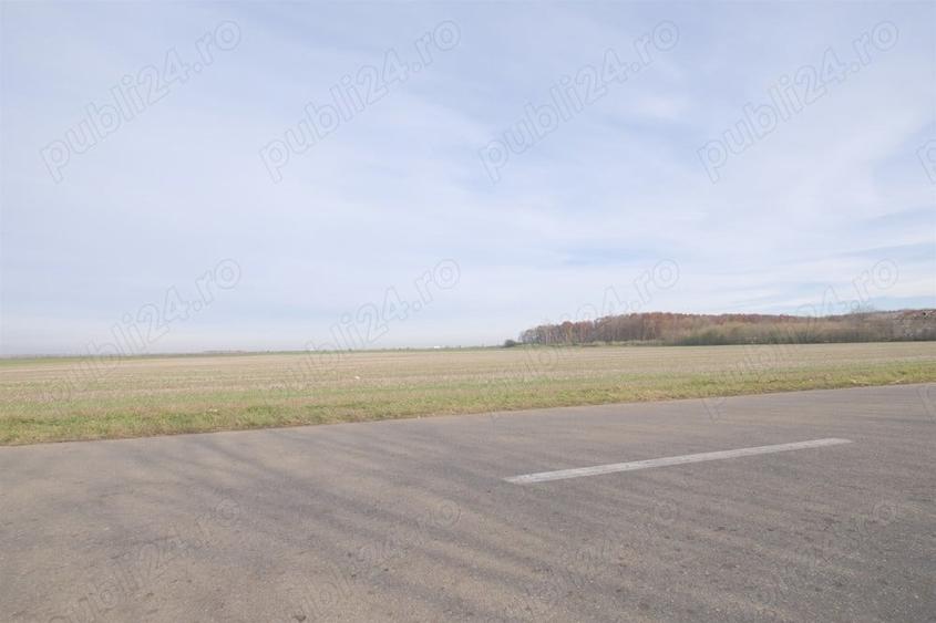 Teren de 270000 mp, în Gherghița