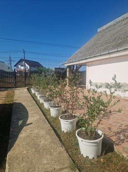 Casă individuală cu 3 camere cu Garaj în Cristești