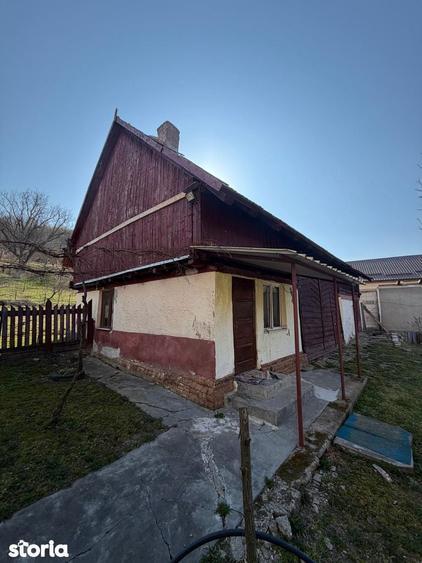 Comision 0% I Casa individuala I Teren de 3252 mp I Arghis - 11