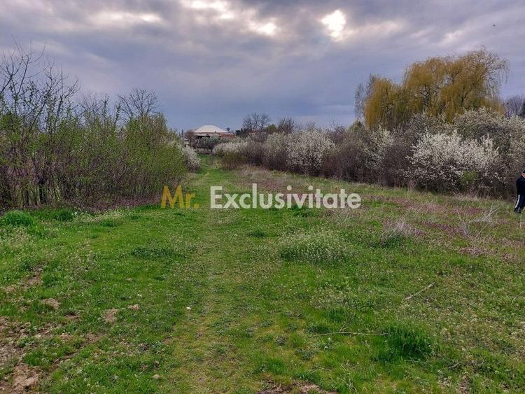 Teren Construcții intravilan de 3669.6101074219 mp, în Central