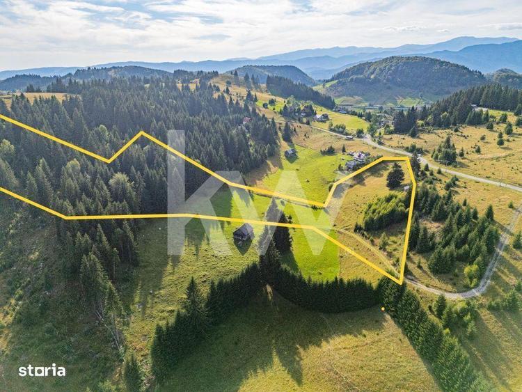 Teren de 18044 mp, în Dâmbovicioara