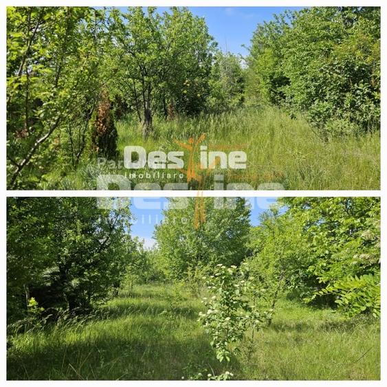 Teren Construcții intravilan de 3523 mp, în Tomești