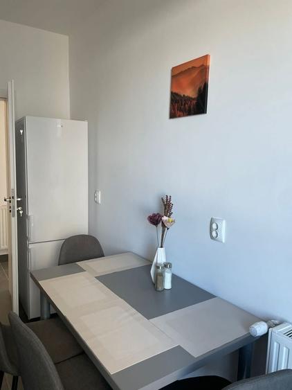 Apartament cu 3 camere semidecomandat în Dosu Bricii