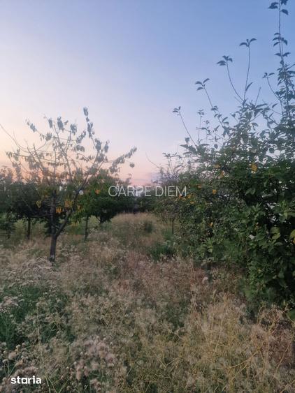 TEREN INTRAVILAN DE VANZARE ROBANE?TI, DOLJ | 5.000 MP