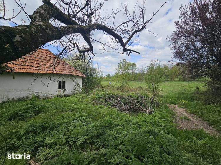 Casă cu 3 camere cu Teren 5571 Mp în Zam