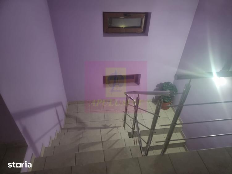 ILFOV - SE VINDE CASA IN ISLAZ / COM. BRANESTI - 7
