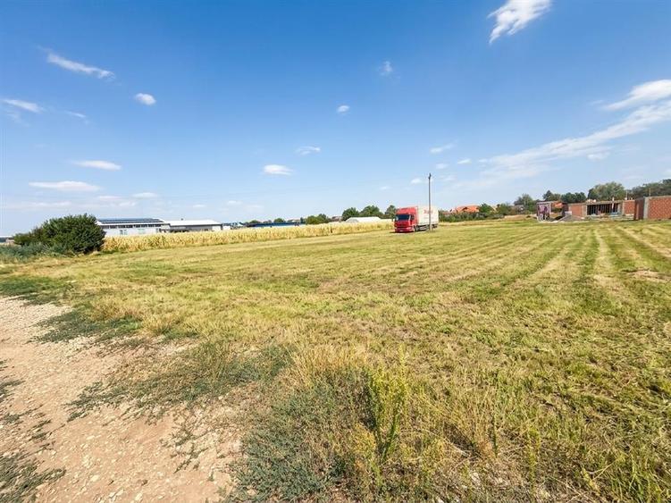Teren Construcții intravilan de 2889 mp, în Sântion
