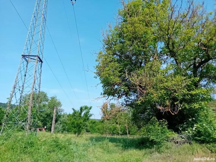 Teren de 4000 mp, în Băbana