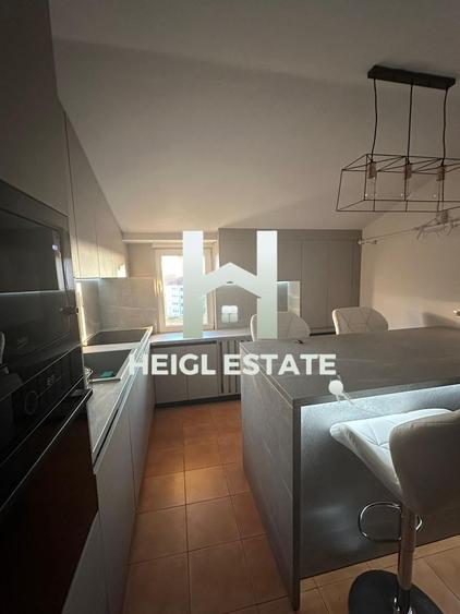 Apartament cu 2 camere, mobilat în Freidorf
