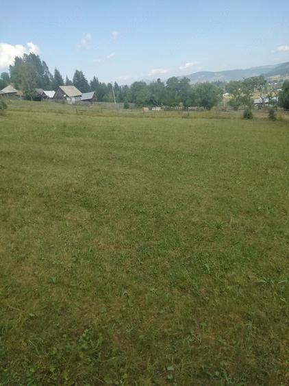 Teren de 2900 mp, în Panaci