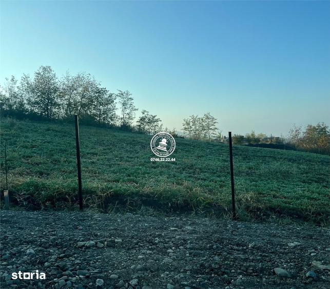 Teren pentru casa Valea Lupului - 1