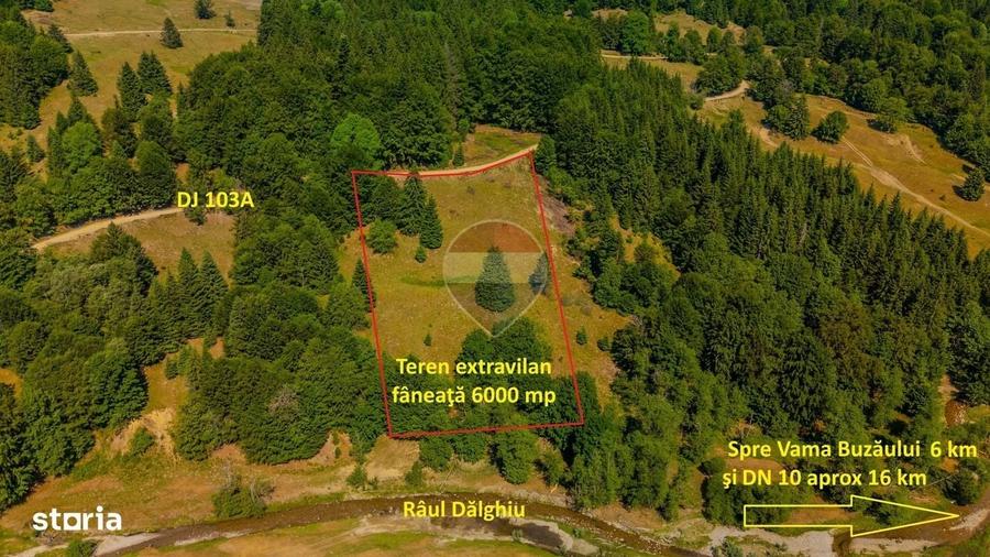 Teren 6000 mp, Valea Dalghiului - Vama Buzaului - vedere catre Ciucas - 3