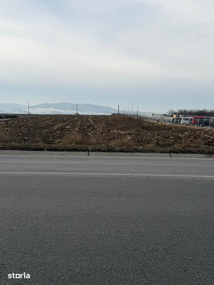 Teren de 10000 mp, în Nicolae Bălcescu
