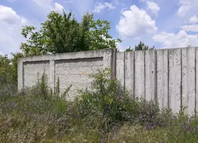 Teren de 1600 mp, în Dragomirești-Vale