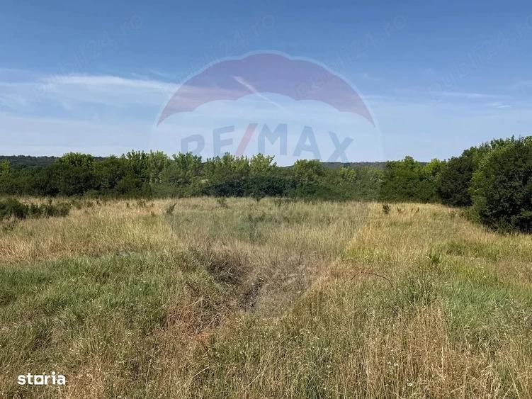 Teren de 2500 mp, în Popoveni
