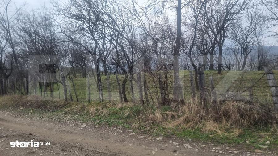 Teren de 3781 mp, în Izvoarele