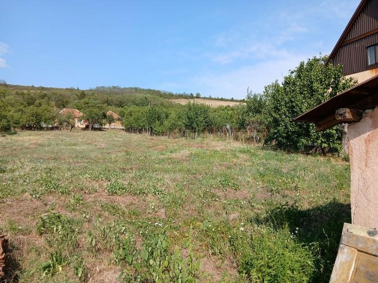 Casă cu 2 camere în Vintere