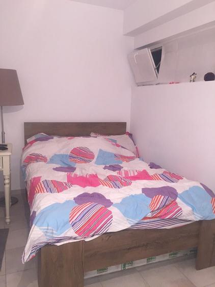 de inchiriat Studio COPOU cu acces terasa vedere Gradina Botanica - 6