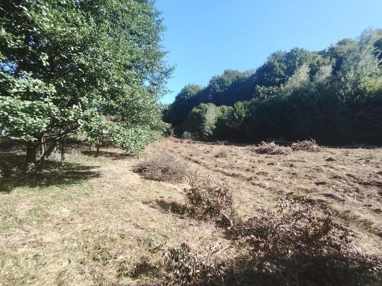 Teren de 4400 mp, în Cugir