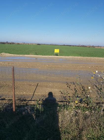 Teren de 8400 mp, în Palanca