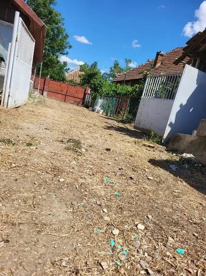 Casă cu 5 camere în Banloc