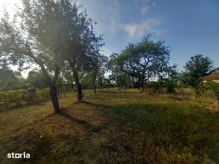 Casă cu 4 camere cu Teren 300 Mp în Vasile Alecsandri