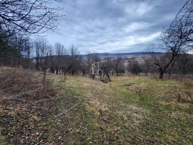 Teren intravilan de 10000 mp, în Periferie