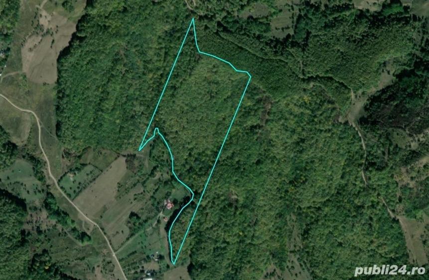Teren de 80000 mp, în Cănești