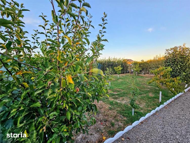 Casă cu 5 camere cu Teren 1000 Mp în Chiscani