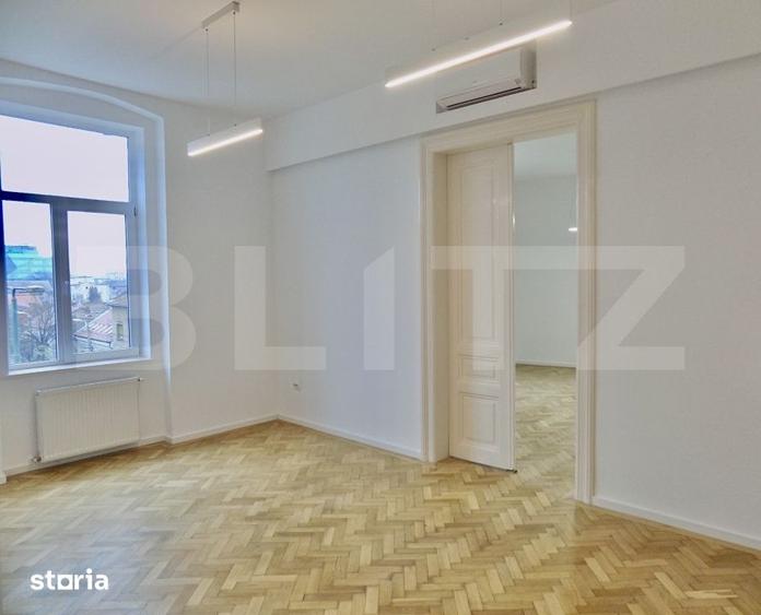Apartament Istoric Deosebit, Regele Carol, Timisoara - 5