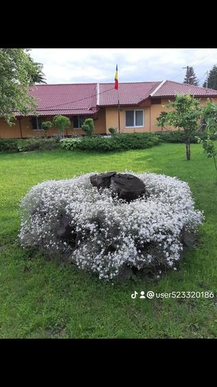 Casă cu 4 camere în Coroi