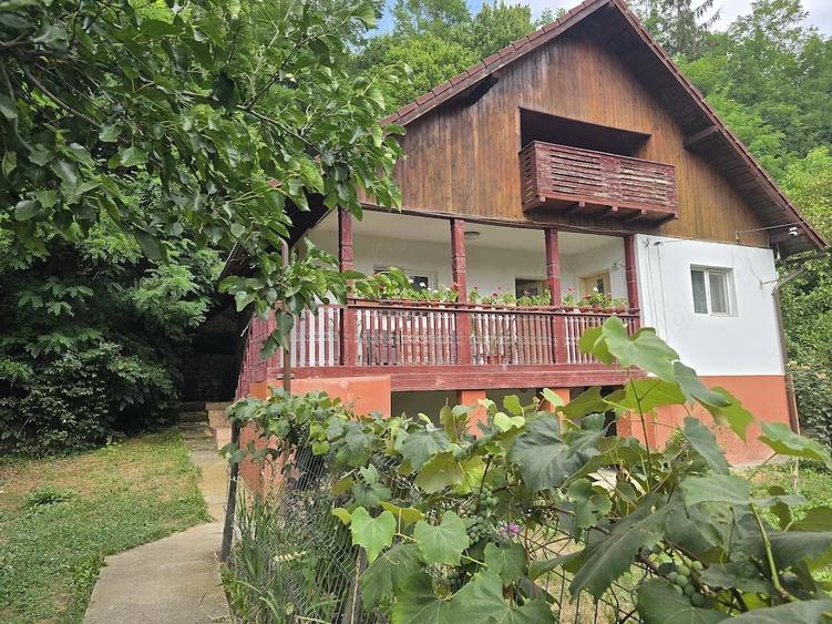 Casă cu 4 camere cu Teren 2500 Mp în Slătioara