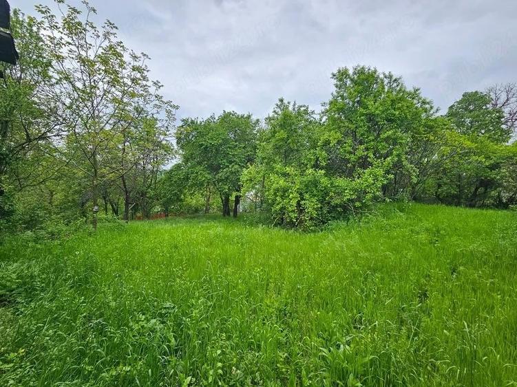 Teren de 3000 mp, în Central