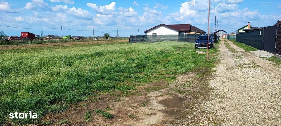 Teren de 513 mp, în Adunații-Copăceni