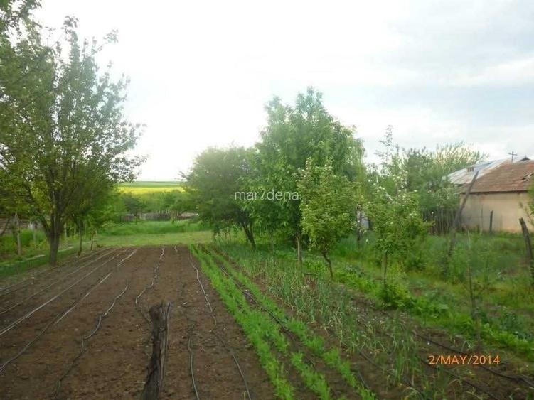 Vand casa si anexe cu teren 2000 mp in Ciuperceni la 5km de Turnu Magurele