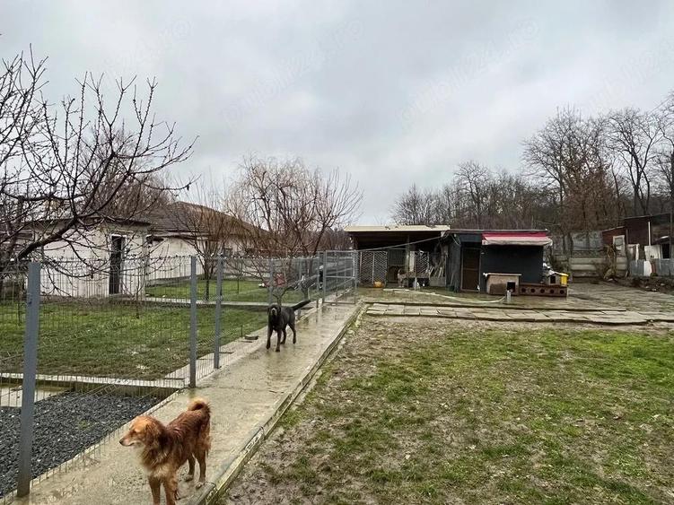 Teren de 707 mp, în Central