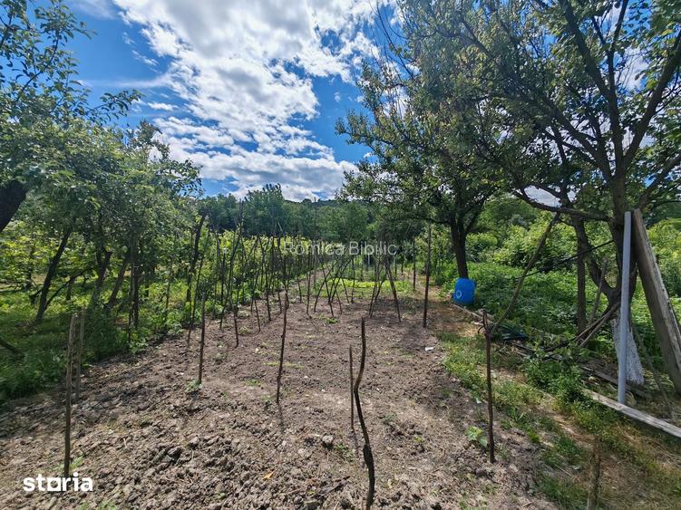 Oportunitate Rara: 3 Case in Aceea?i Curte| 66.000 euro
