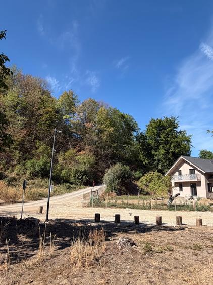 Casă cu 3 camere în Bratca