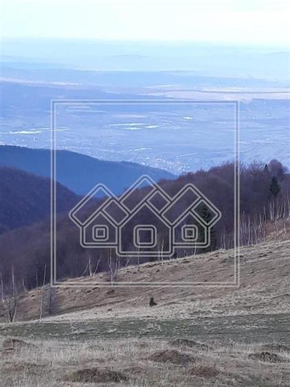 Teren agricol extravilan de 3825 mp, în Aeroport