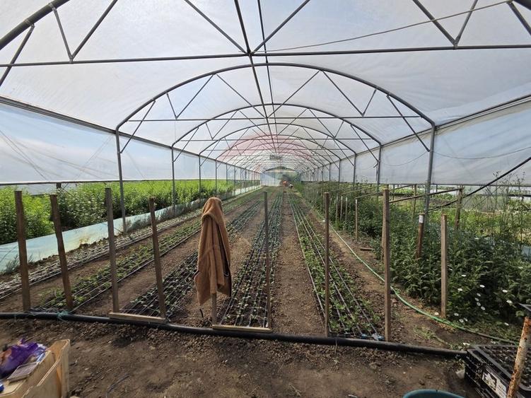 Casă individuală cu 4 camere cu Teren 2229 Mp în Biliești