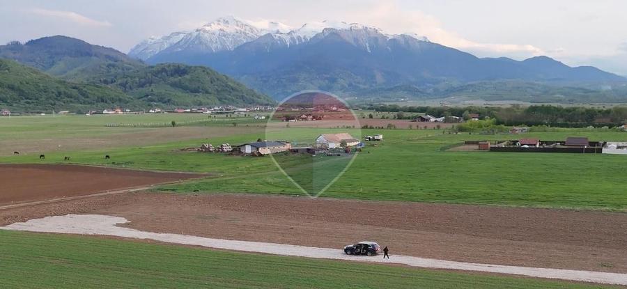 Teren Construcții intravilan de 990 mp, în Pănicel