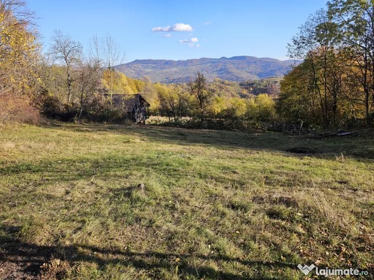 Teren de 950 mp, în Central