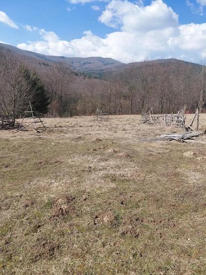 Teren de 1300 mp, în Valea Doftanei