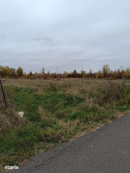 Teren de 2500 mp, în Cobia