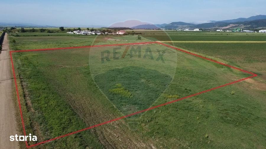 Teren de 39500 mp, în Vințu de Jos